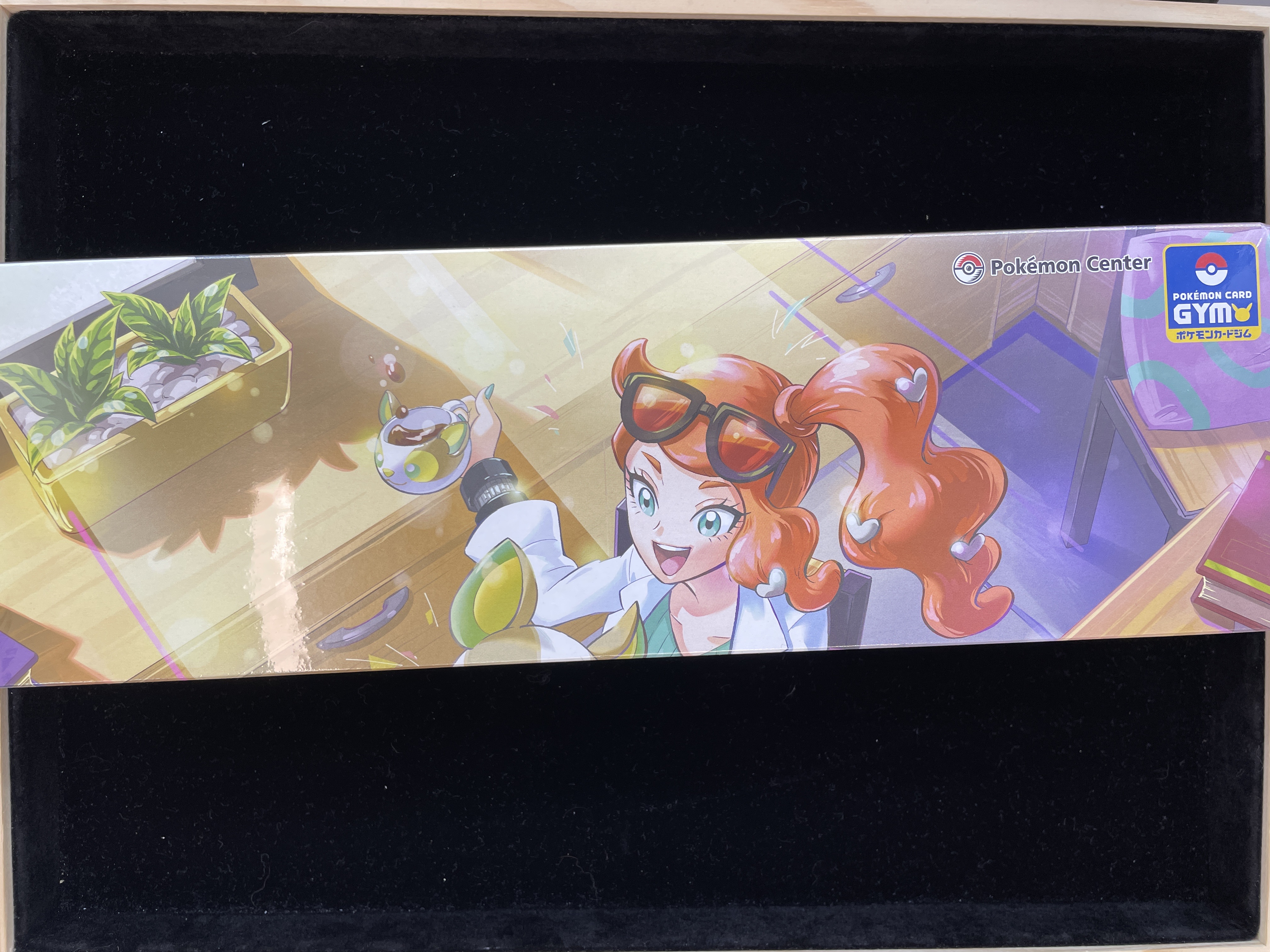 （寄賣）Pokémon center GYM